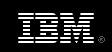 IBM Solutions for Homeland Security