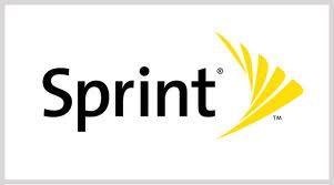 Sprint Grants Support Program